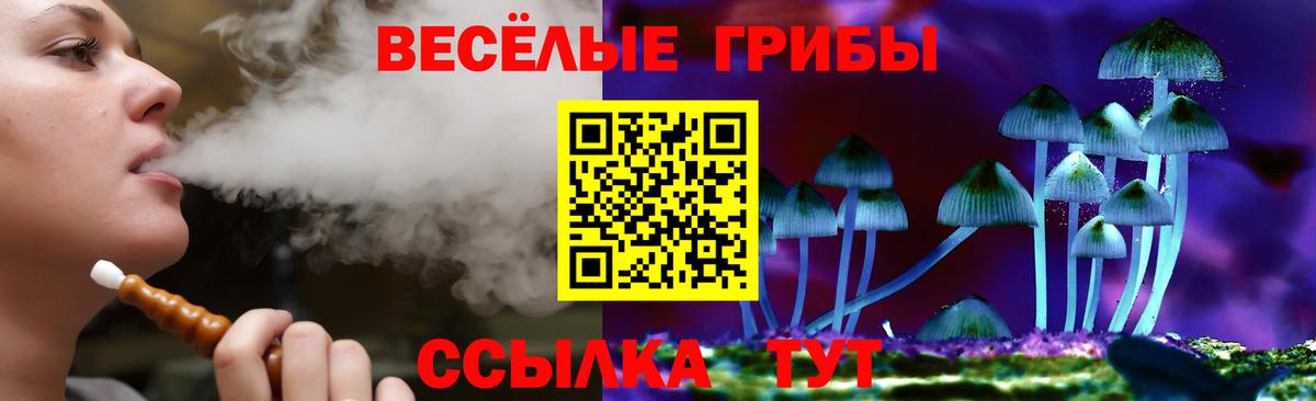 Михайловск  Галлюциногенные грибы мухоморы  Псилоцибиновые грибы прущие грибы  Вход с VPN 